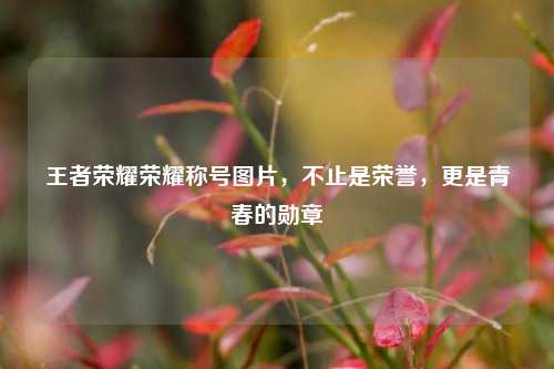 王者荣耀荣耀称号图片，不止是荣誉，更是青春的勋章