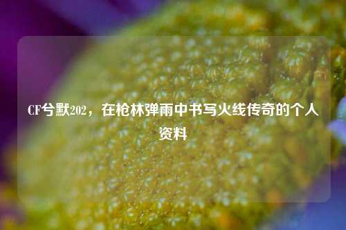 CF兮默202，在枪林弹雨中书写火线传奇的个人资料