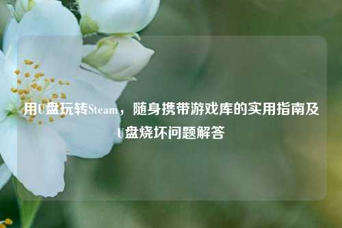 用U盘玩转Steam，随身携带游戏库的实用指南及U盘烧坏问题解答