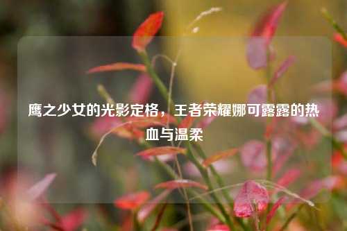 鹰之少女的光影定格，王者荣耀娜可露露的热血与温柔