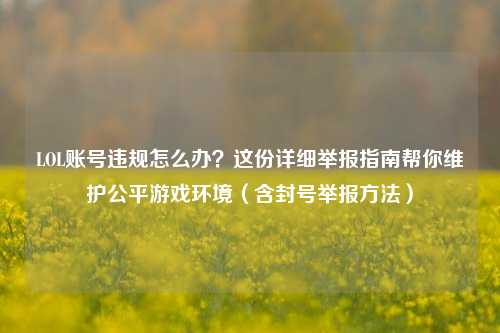 LOL账号违规怎么办？这份详细举报指南帮你维护公平游戏环境（含封号举报方法）