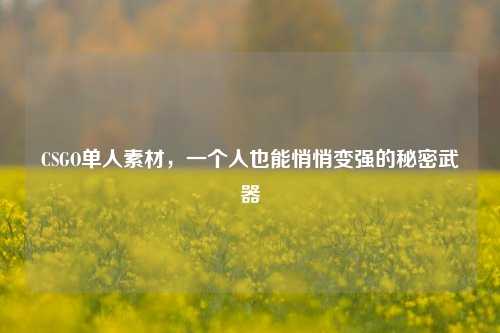 CSGO单人素材，一个人也能悄悄变强的秘密武器