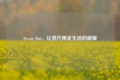 Steam Out，让蒸汽带走生活的褶皱
