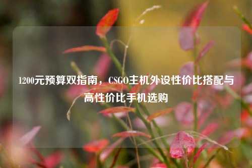 1200元预算双指南，CSGO主机外设性价比搭配与高性价比手机选购