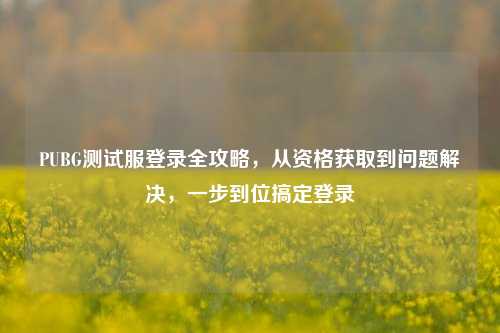 PUBG测试服登录全攻略，从资格获取到问题解决，一步到位搞定登录