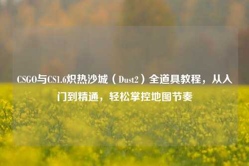 CSGO与CS1.6炽热沙城（Dust2）全道具教程，从入门到精通，轻松掌控地图节奏