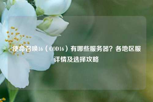 使命召唤16（COD16）有哪些服务器？各地区服详情及选择攻略