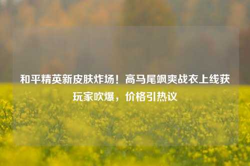 和平精英新皮肤炸场!高马尾飒爽战衣上线获玩家吹爆,价格引热议