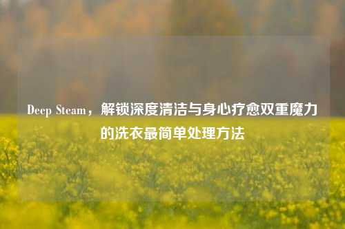 Deep Steam，解锁深度清洁与身心疗愈双重魔力的洗衣最简单处理方法