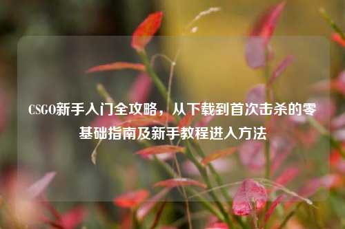 CSGO新手入门全攻略，从下载到首次击杀的零基础指南及新手教程进入方法