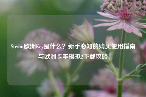 Steam欧洲Key是什么？新手必知的购买使用指南与欧洲卡车模拟2下载攻略