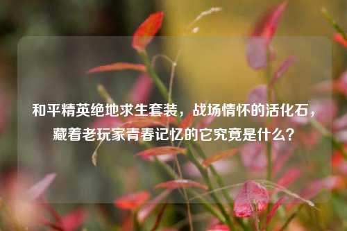 和平精英绝地求生套装，战场情怀的活化石，藏着老玩家青春记忆的它究竟是什么？