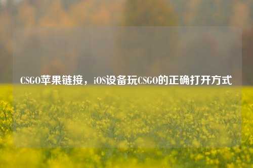 CSGO苹果链接，iOS设备玩CSGO的正确打开方式