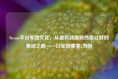 Steam平台军团文化，从虚拟战场到热血社群的集结之路——以军团要塞2为例