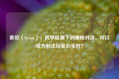 泰坦（Steam），机甲狂潮下的硬核对决，何以成为射击玩家心头好？