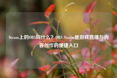 Steam上的OBS叫什么？OBS Studio是游戏直播与内容创作的便捷入口
