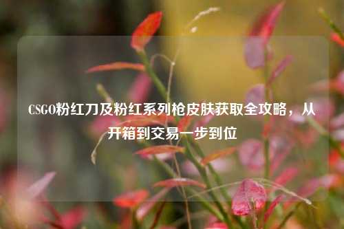CSGO粉红刀及粉红系列枪皮肤获取全攻略，从开箱到交易一步到位