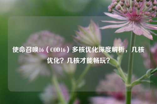使命召唤16（COD16）多核优化深度解析，几核优化？几核才能畅玩？