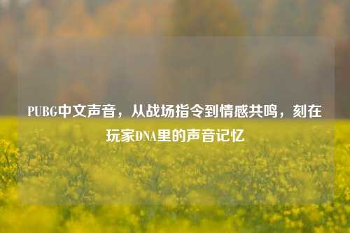 PUBG中文声音，从战场指令到情感共鸣，刻在玩家DNA里的声音记忆