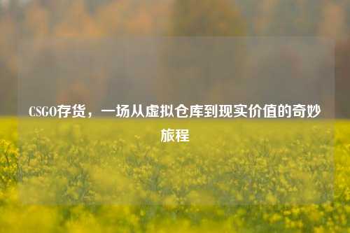 CSGO存货，一场从虚拟仓库到现实价值的奇妙旅程