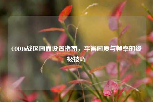COD16战区画面设置指南，平衡画质与帧率的终极技巧