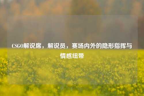 CSGO解说席，解说员，赛场内外的隐形指挥与情感纽带