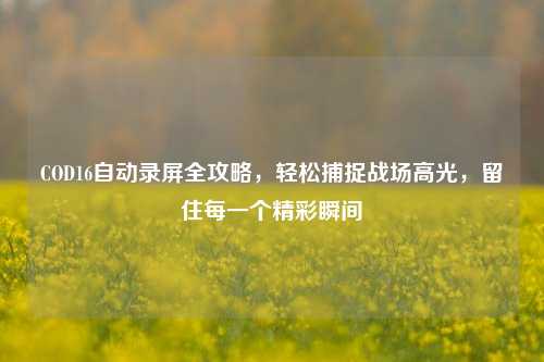COD16自动录屏全攻略，轻松捕捉战场高光，留住每一个精彩瞬间