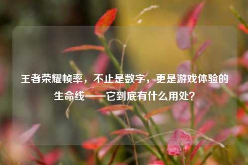 王者荣耀帧率，不止是数字，更是游戏体验的生命线——它到底有什么用处？