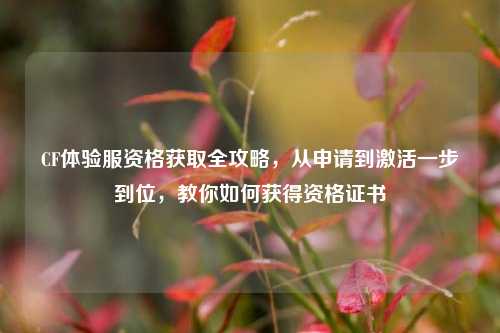 CF体验服资格获取全攻略，从申请到激活一步到位，教你如何获得资格证书