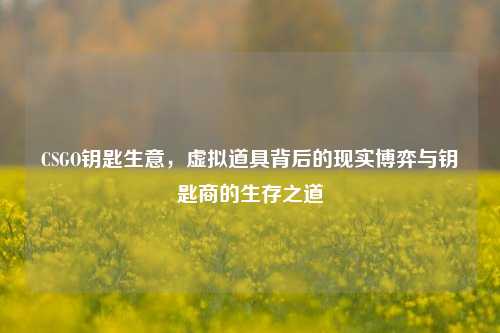 CSGO钥匙生意，虚拟道具背后的现实博弈与钥匙商的生存之道