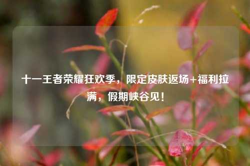 十一王者荣耀狂欢季，限定皮肤返场+福利拉满，假期峡谷见！