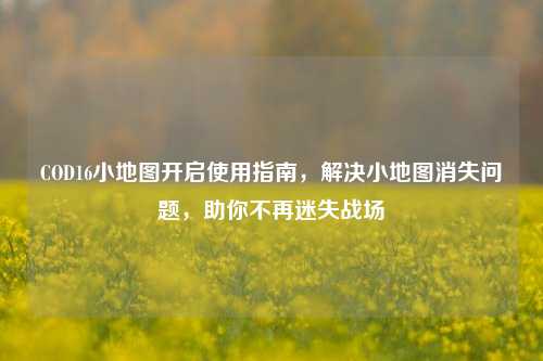 COD16小地图开启使用指南，解决小地图消失问题，助你不再迷失战场