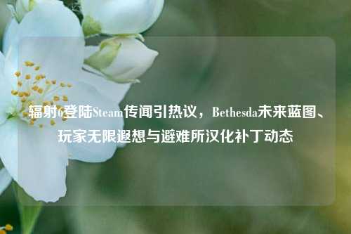 辐射6登陆Steam传闻引热议，Bethesda未来蓝图、玩家无限遐想与避难所汉化补丁动态