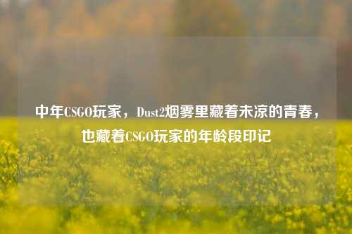 中年CSGO玩家，Dust2烟雾里藏着未凉的青春，也藏着CSGO玩家的年龄段印记