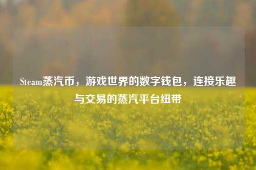 Steam蒸汽币，游戏世界的数字钱包，连接乐趣与交易的蒸汽平台纽带
