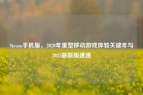 Steam手机版，2020年重塑移动游戏体验关键年与2025最新版速递