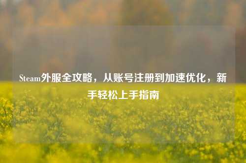 Steam外服全攻略，从账号注册到加速优化，新手轻松上手指南