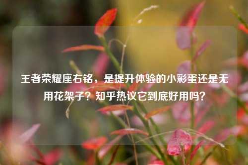 王者荣耀座右铭，是提升体验的小彩蛋还是无用花架子？知乎热议它到底好用吗？