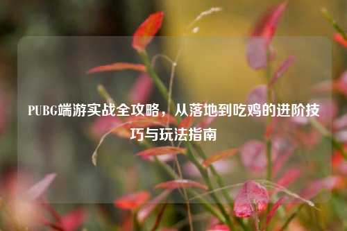 PUBG端游实战全攻略，从落地到吃鸡的进阶技巧与玩法指南