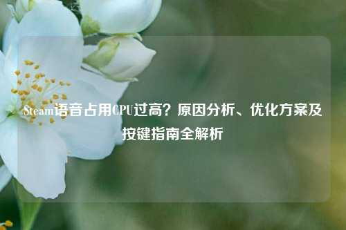 Steam语音占用CPU过高？原因分析、优化方案及按键指南全解析