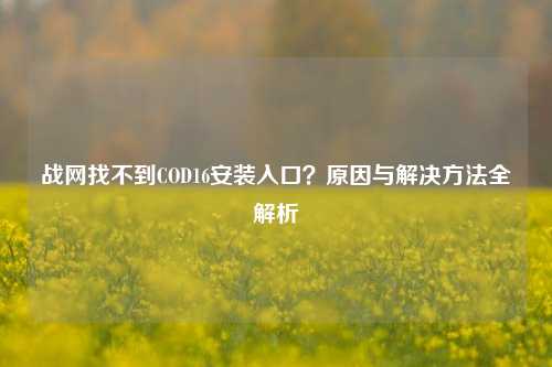 战网找不到COD16安装入口？原因与解决方法全解析