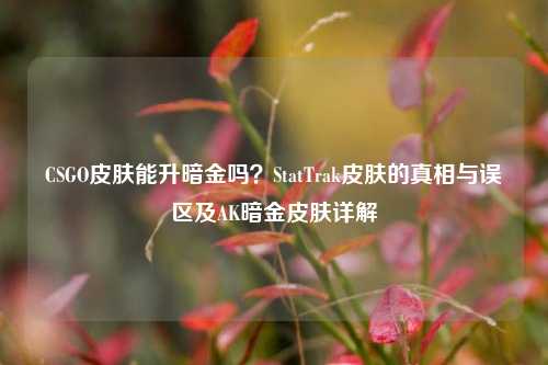 CSGO皮肤能升暗金吗？StatTrak皮肤的真相与误区及AK暗金皮肤详解