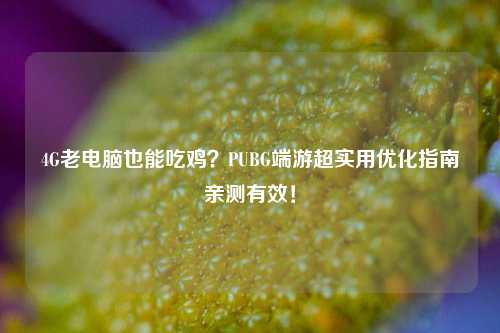 4G老电脑也能吃鸡？PUBG端游超实用优化指南亲测有效！