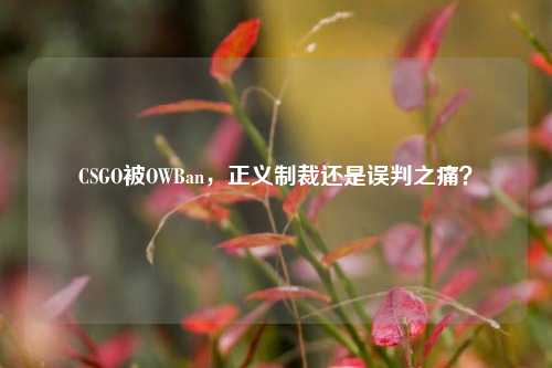 CSGO被OWBan，正义制裁还是误判之痛？