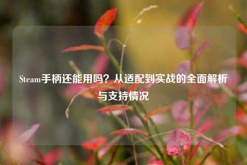 Steam手柄还能用吗？从适配到实战的全面解析与支持情况