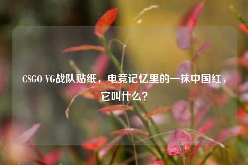 CSGO VG战队贴纸，电竞记忆里的一抹中国红，它叫什么？