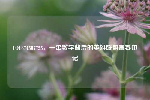 LOL874507755，一串数字背后的英雄联盟青春印记