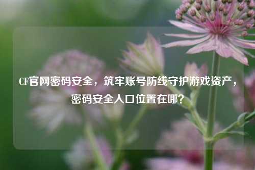 CF官网密码安全，筑牢账号防线守护游戏资产，密码安全入口位置在哪？