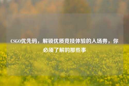 CSGO优先码，解锁优质竞技体验的入场券，你必须了解的那些事