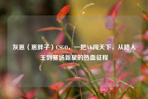 灰崽（崽胖子）CSGO，一把AK闯天下，从路人王到赛场新星的热血征程
